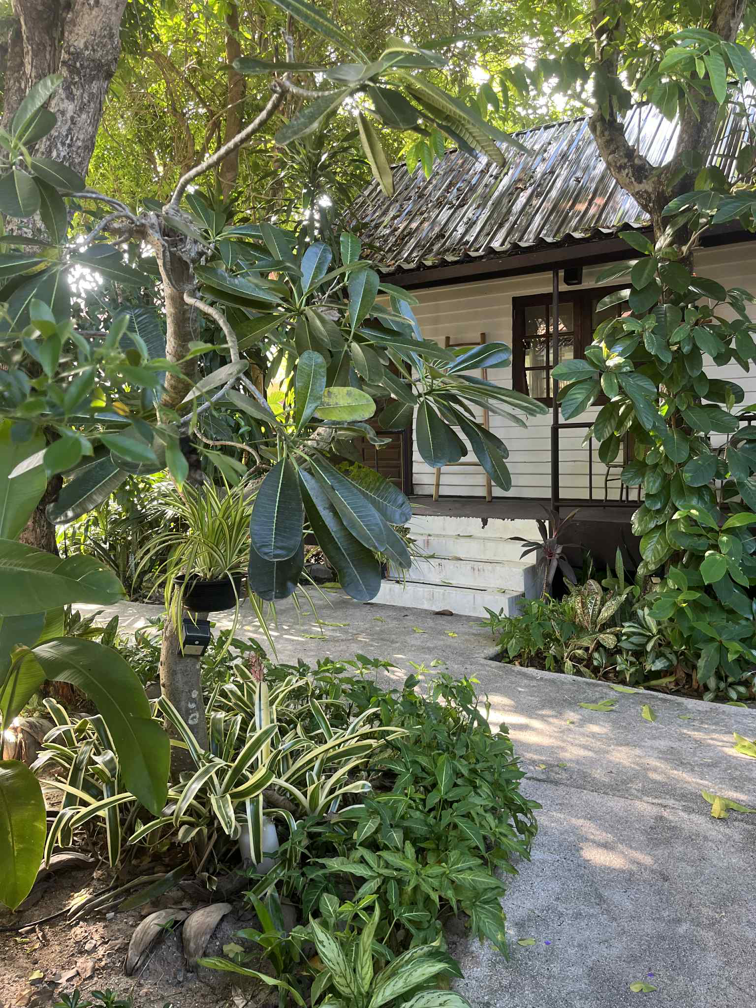 Tropical Village Resort