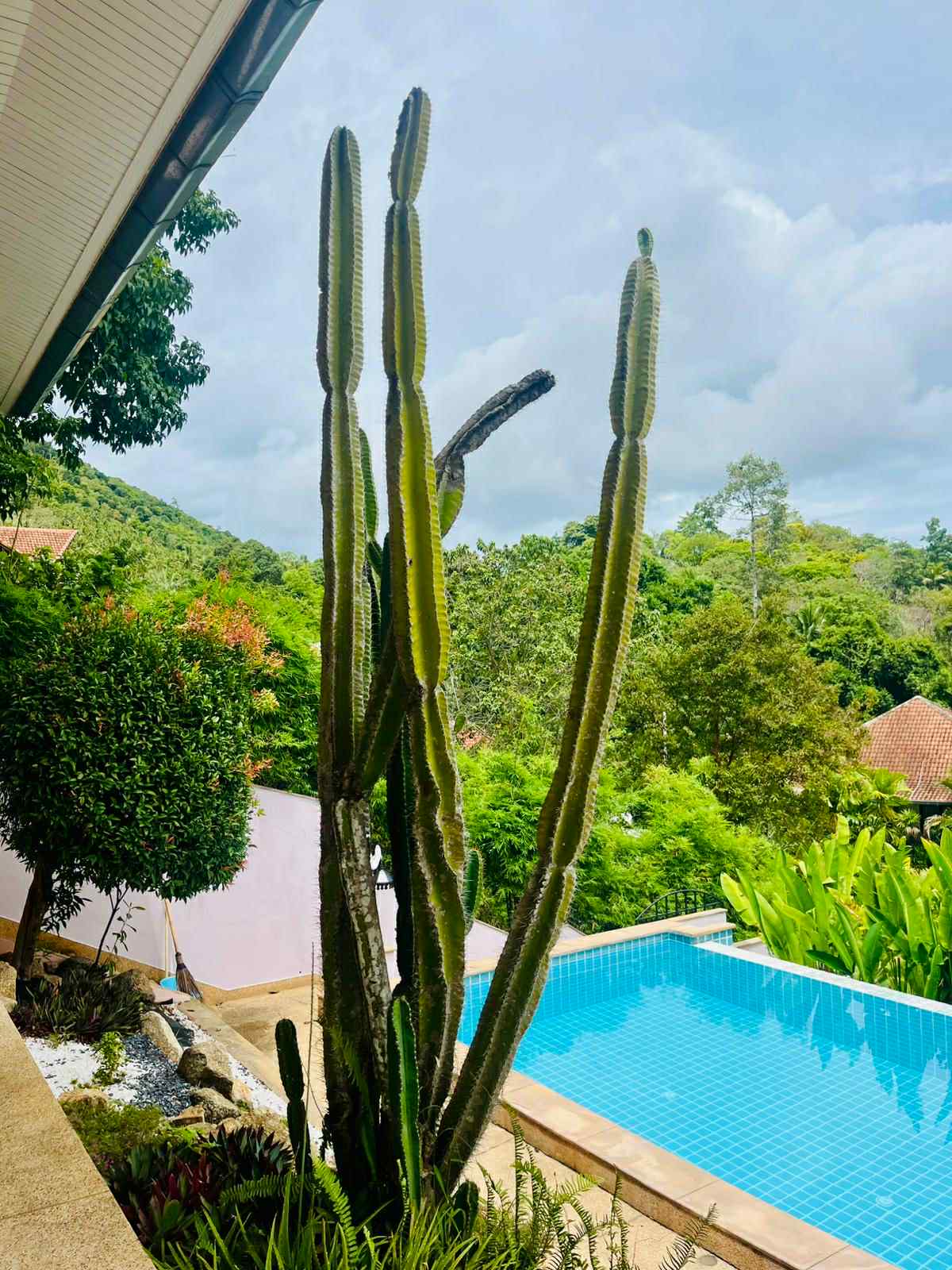 Villa Amara – Image 4